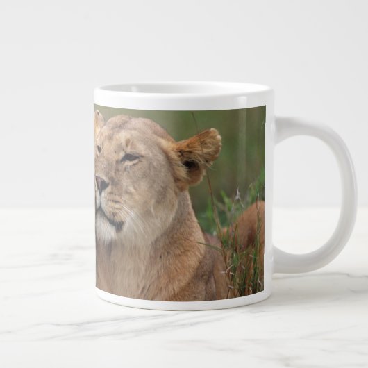 Niedliche Kleintiere | Lion Cub & Mother Jumbo-Tasse (Rechts)