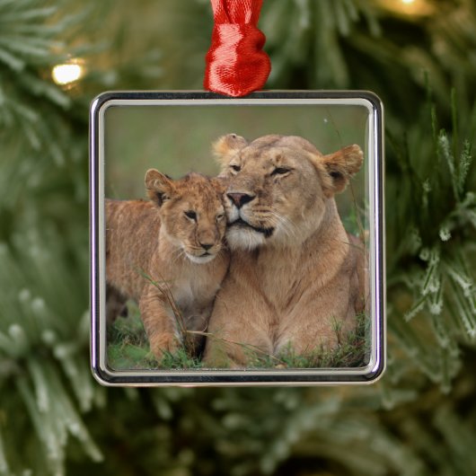 Niedliche Kleintiere | Lion Cub & Mother Ornament Aus Metall (Baum)