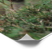 Niedliche Kleintiere | Lion Cub & Mother Poster (Ecke)