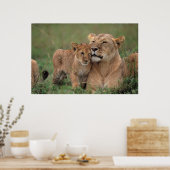 Niedliche Kleintiere | Lion Cub & Mother Poster (Küche)