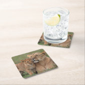 Niedliche Kleintiere | Lion Cub & Mother Rechteckiger Pappuntersetzer (Vor Ort)