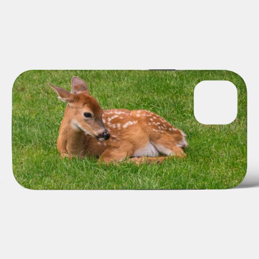 Niedliche Kleintiere | Little Fawn Case-Mate iPhone Hülle (Rückseite (Horizontal))