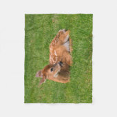 Niedliche Kleintiere | Little Fawn Fleecedecke (Vorderseite)