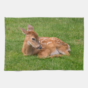 Niedliche Kleintiere   Little Fawn Geschirrtuch