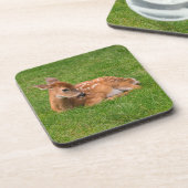 Niedliche Kleintiere | Little Fawn Getränkeuntersetzer (Linke Seite)