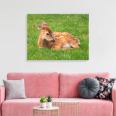 Niedliche Kleintiere | Little Fawn Leinwanddruck (Insitu (Wohnzimmer))