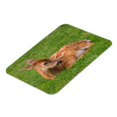 Niedliche Kleintiere | Little Fawn Magnet (Linke Seite)