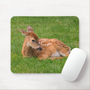 Niedliche Kleintiere Little Fawn Mousepad