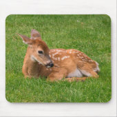 Niedliche Kleintiere | Little Fawn Mousepad (Vorne)