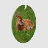 Niedliche Kleintiere | Little Fawn Ornament (Vorderseite)