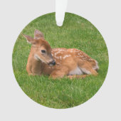Niedliche Kleintiere | Little Fawn Ornament (Vorderseite)