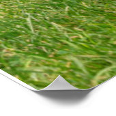 Niedliche Kleintiere | Little Fawn Poster (Ecke)