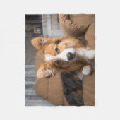 Niedliche Kleintiere | Long Hair Corgi Puppy Fleecedecke (Vorderseite)