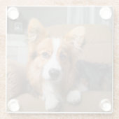 Niedliche Kleintiere | Long Hair Corgi Puppy Glasuntersetzer (Rückseite)