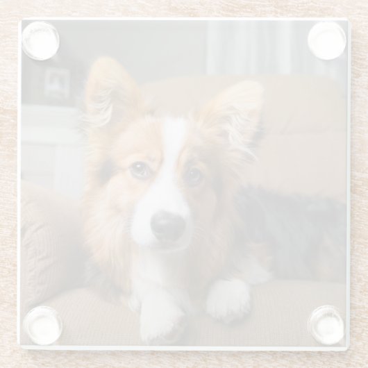 Niedliche Kleintiere | Long Hair Corgi Puppy Glasuntersetzer (Rückseite)