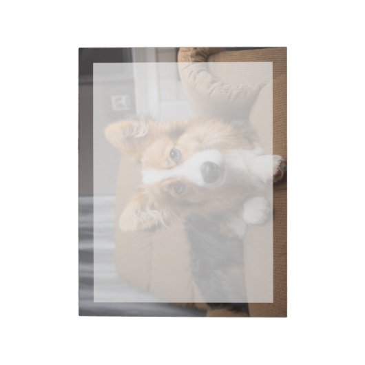 Niedliche Kleintiere | Long Hair Corgi Puppy Notizblock (Rotiert)