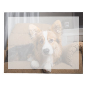 Niedliche Kleintiere   Long Hair Corgi Puppy Notizblock
