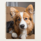 Niedliche Kleintiere | Long Hair Corgi Puppy Planer (Vorderseite)