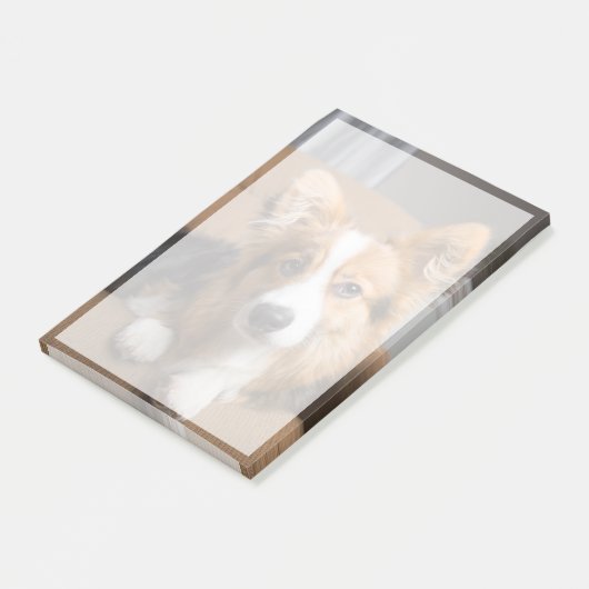 Niedliche Kleintiere | Long Hair Corgi Puppy Post-it Klebezettel (angewinkelt)