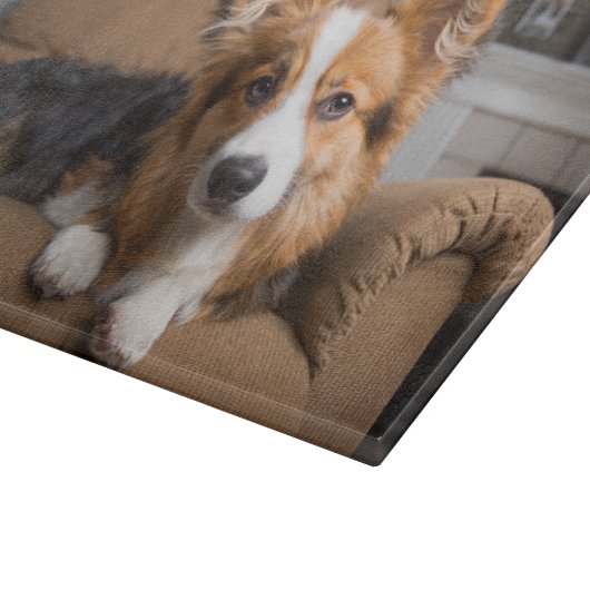 Niedliche Kleintiere | Long Hair Corgi Puppy Schneidebrett (Ecke)