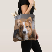 Niedliche Kleintiere | Long Hair Corgi Puppy Tasche (Von Nahem)