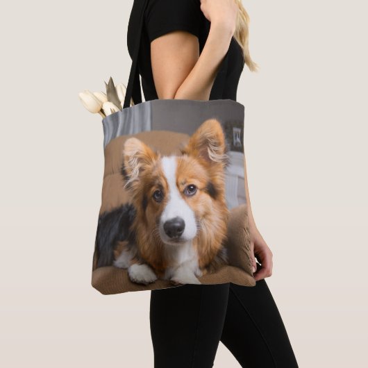 Niedliche Kleintiere | Long Hair Corgi Puppy Tasche (Von Nahem)