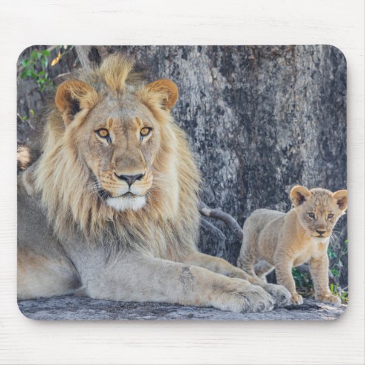 Niedliche Kleintiere | Löwe Vater & Cub Mousepad (Vorne)