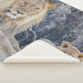 Niedliche Kleintiere | Löwe Vater & Cub Sherpadecke (3/4)