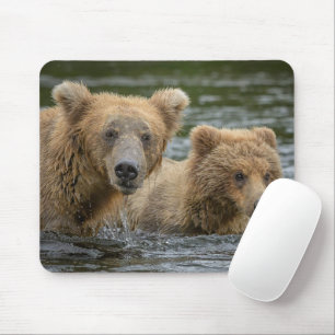 Niedliche Kleintiere   Mama Bear & Ihre Cubs Mousepad