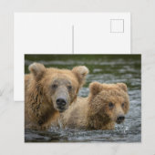 Niedliche Kleintiere | Mama Bear & Ihre Cubs Postkarte (Vorne/Hinten)