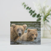 Niedliche Kleintiere | Mama Bear & Ihre Cubs Postkarte (Stehend Vorderseite)