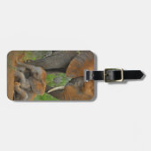 Niedliche Kleintiere | Mama Elephant & Baby Gepäckanhänger (Vorderseite horizontal)