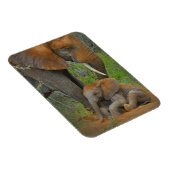 Niedliche Kleintiere | Mama Elephant & Baby Magnet (Rechte Seite)