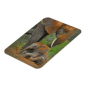 Niedliche Kleintiere | Mama Elephant & Baby Magnet (Linke Seite)