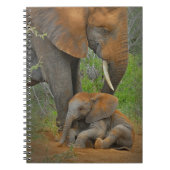 Niedliche Kleintiere | Mama Elephant & Baby Notizblock (Vorderseite)