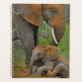 Niedliche Kleintiere | Mama Elephant & Baby Planer (Vorderseite)
