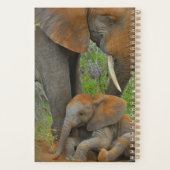 Niedliche Kleintiere | Mama Elephant & Baby Planer (Rückseite)