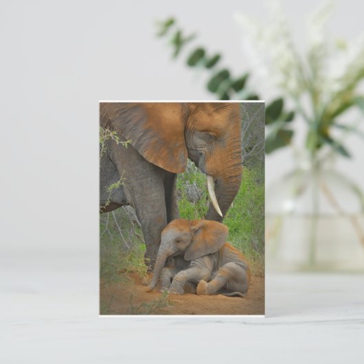 Niedliche Kleintiere | Mama Elephant & Baby Postkarte (Stehend Vorderseite)