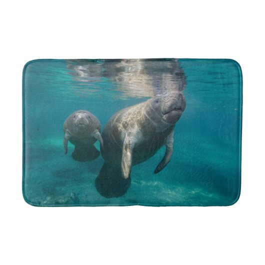 Niedliche Kleintiere | Manatee & Baby Badematte (Vorderseite)