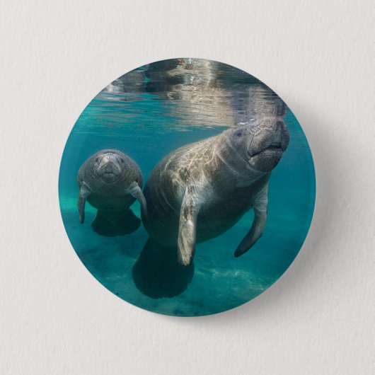 Niedliche Kleintiere | Manatee & Baby Button (Vorderseite)