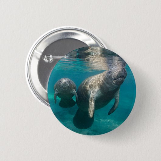 Niedliche Kleintiere | Manatee & Baby Button (Vorne & Hinten)