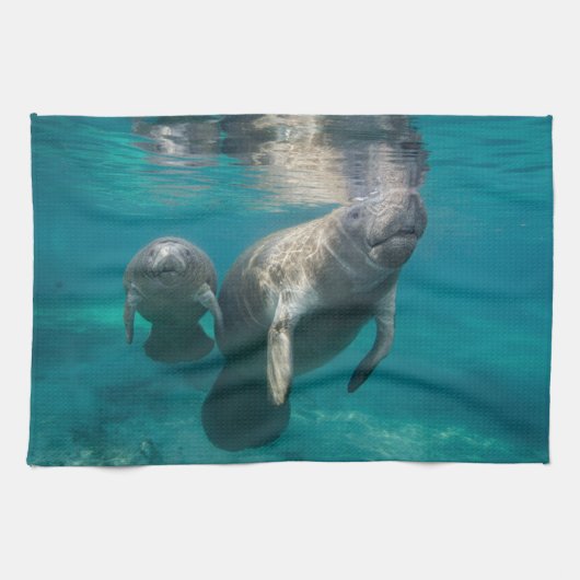 Niedliche Kleintiere | Manatee & Baby Geschirrtuch (Horizontal)