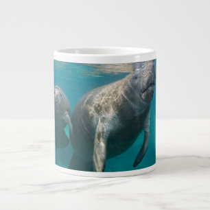 Niedliche Kleintiere   Manatee & Baby Jumbo-Tasse