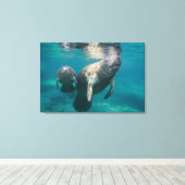Niedliche Kleintiere | Manatee & Baby Leinwanddruck (Insitu (Holzboden))