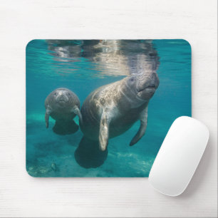 Niedliche Kleintiere Manatee & Baby Mousepad