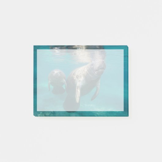 Niedliche Kleintiere | Manatee & Baby Post-it Klebezettel (Vorderseite)