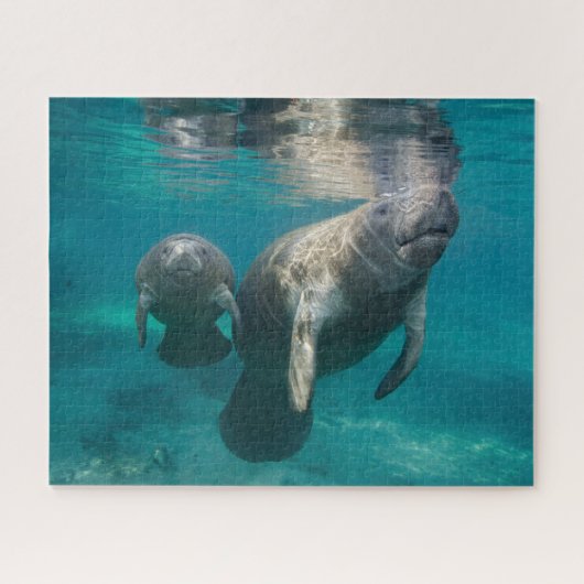 Niedliche Kleintiere | Manatee & Baby Puzzle (Horizontal)