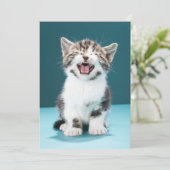 Niedliche Kleintiere | Meaning Baby Kitten Dankeskarte (Stehend Vorderseite)