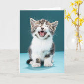 Niedliche Kleintiere | Meaning Baby Kitten Karte (Gelbe Blume)