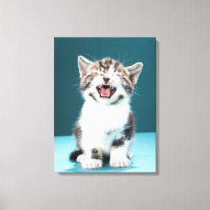 Niedliche Kleintiere Meaning Baby Kitten Leinwanddruck